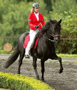 Download Paso Peruano Charakter